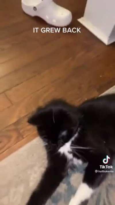 I Found this Martian on another sub 😊