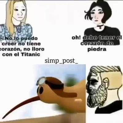 Al final, pudo volar :(