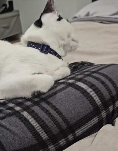 Stuck after getting scratched 