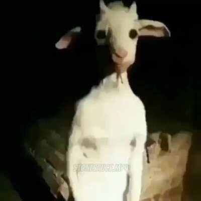 lil uzi vert 😳 (credits to his IG: stonesauce.mp4)