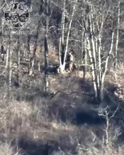 UA Kamikaze Drone hit three russian soldiers in a wood line. Ukraine 2023.