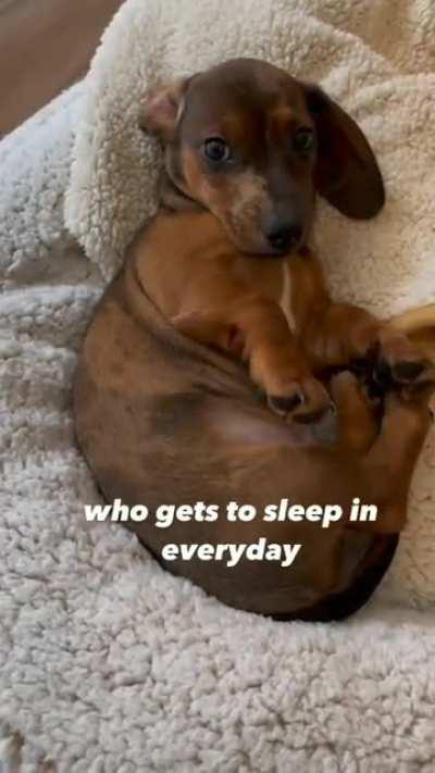 Being this cute is exhausting