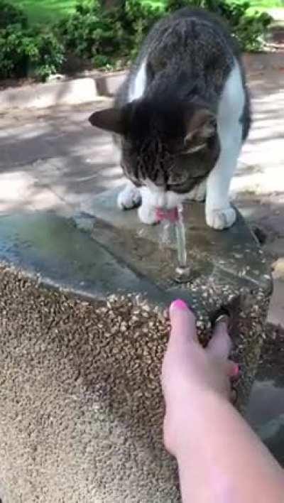 Helping a thirsty friend
