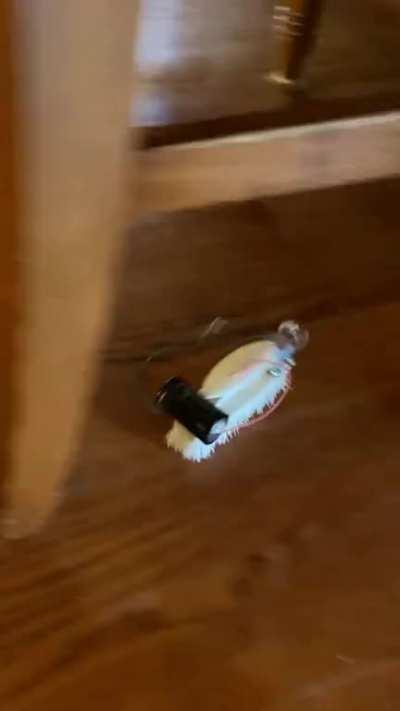 Couldn’t get a Roomba so I made my own