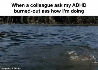 Never been better, boss!