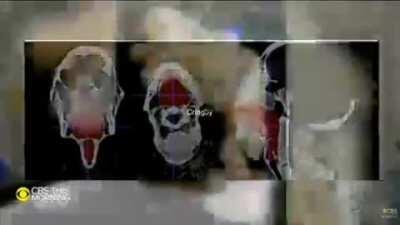 This proves amun was a proud turk