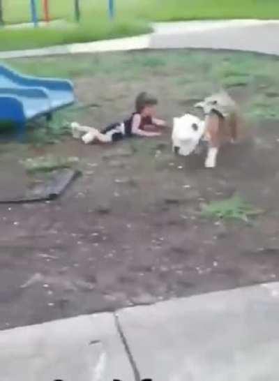 Man's best friend, not the kid's