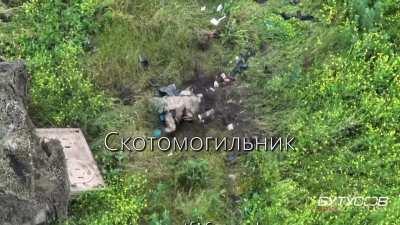 Soldier jumps onto land mine ð¦¿