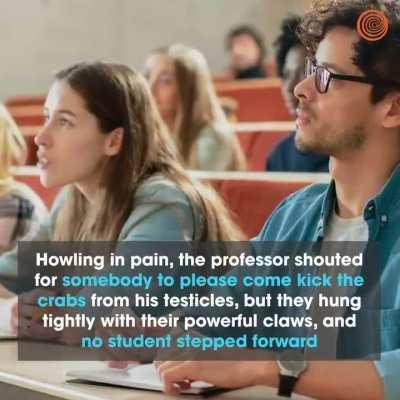 liberal students destroyed am i right!!?!!?!?