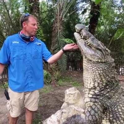 just a man and his crocodile