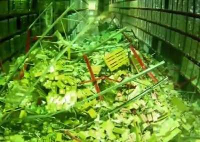 How can one mistake can cost you and others their life