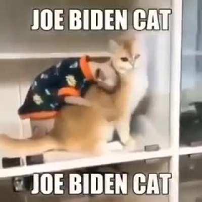 Guys this is literally joe Biden