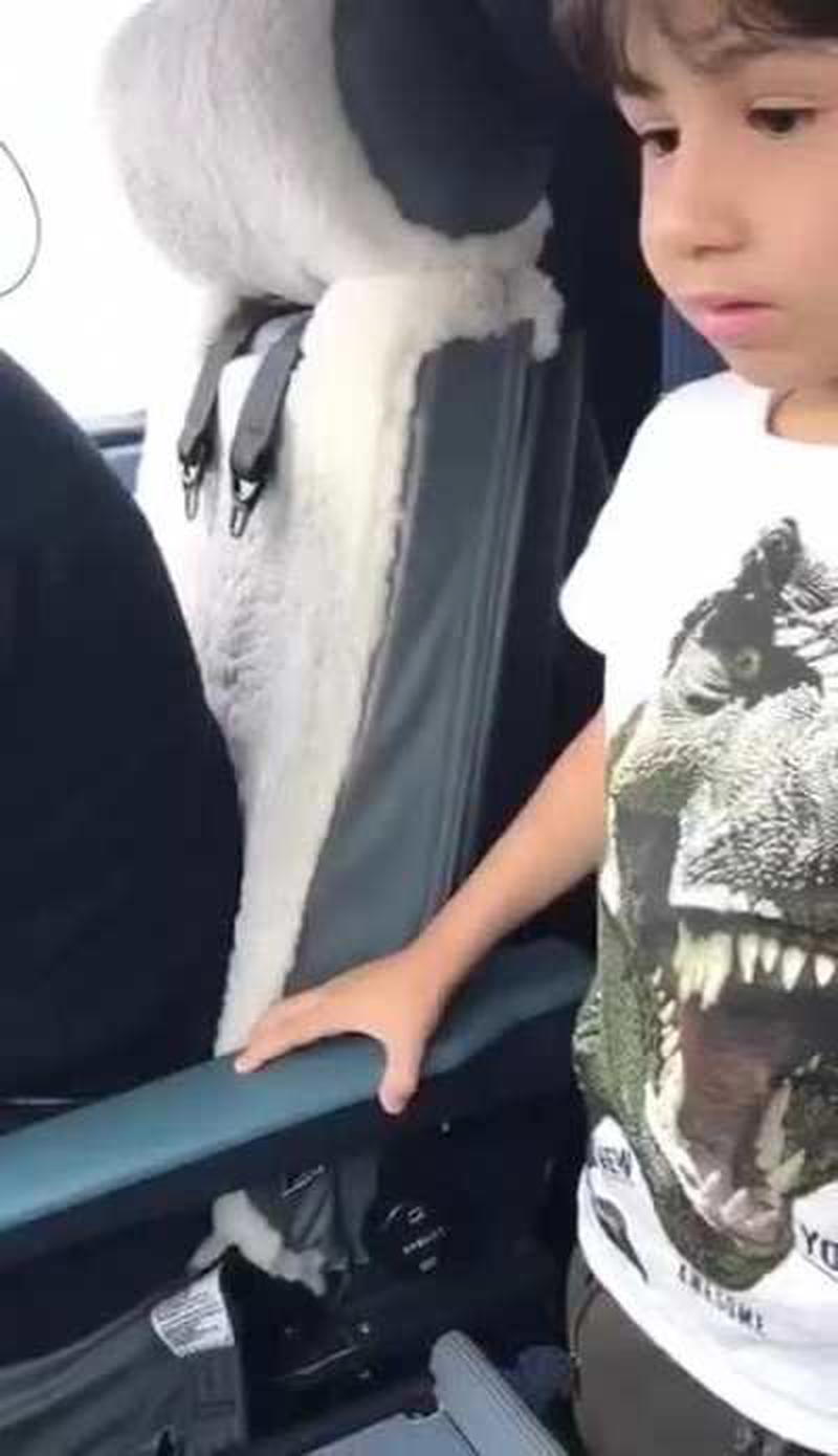 Kid amazes pilots with aircraft knowledge!