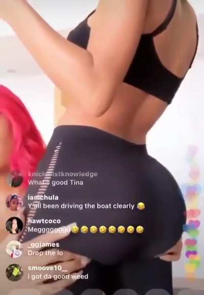 megan thee stallion and her friend