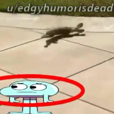 Funny dancing kangabunny corpse 🥺🥺🥺🥺 انتحار الكانغو الكبير eyeblech 240p frog kangaroo bunny sex tape