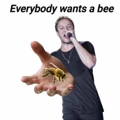Everybody wants a bee🐝