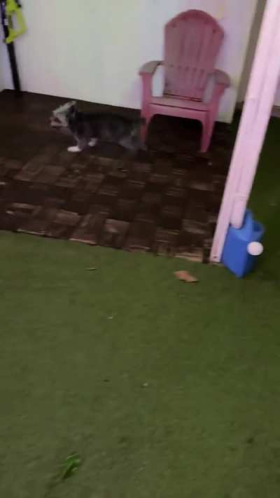 SUPER RARE for this old 14 year old girl!