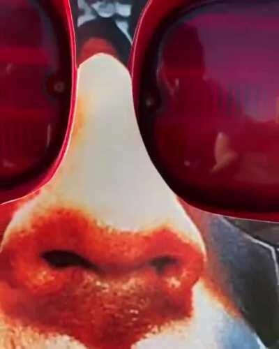 “I’ll be (in the) back”