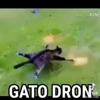 dron