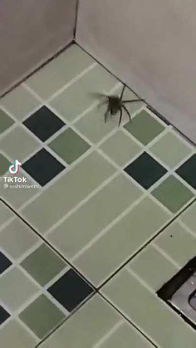 Limpando o chuveiro tranquilinho