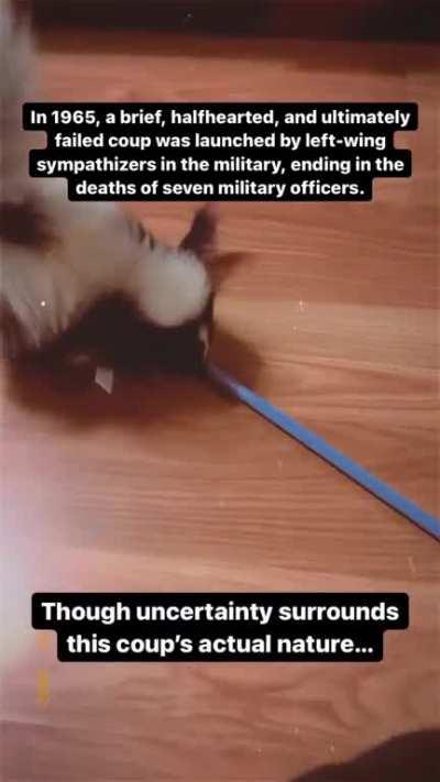 🇮🇩💀🚩🌱🎶