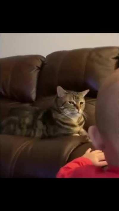 Ugh...human babies..