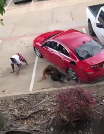 Driver Hits 3 People, Other Vehicle at Dallas Apartment Complex Fights in the Hood