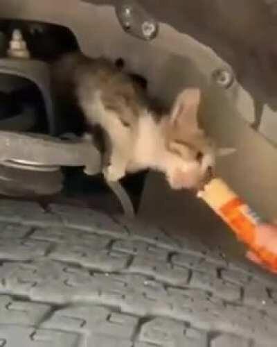 спасение рядового Брайна