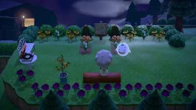 Wisp literally payed his respects to my pet's tribute graves. (One of which who has died very, very recently)...When I tell you I BURST into tears<3...thank you Wisp.♥️