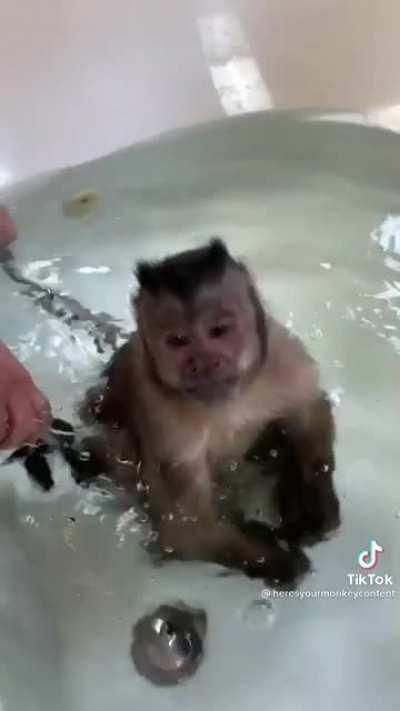MONKE takes a bath why is it so cute ☺️