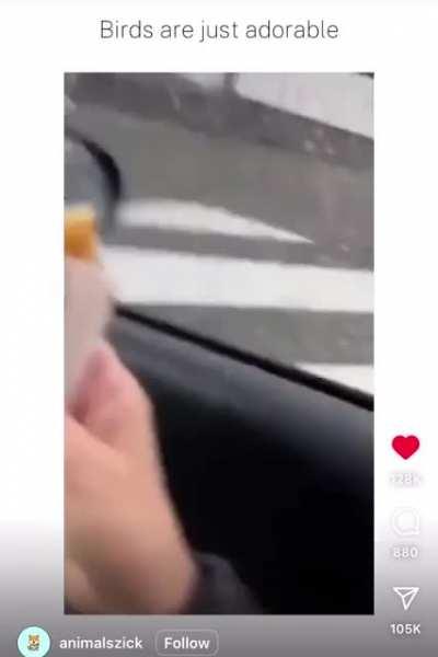 Ask for food innocently and if the human complies bring the whole town over