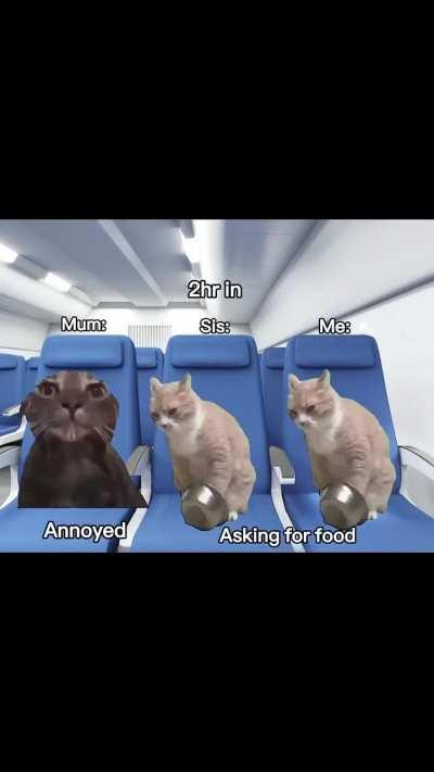 ihaveihaveihave holiday