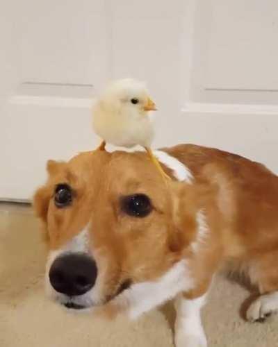 I'm stuck with this chick forever...