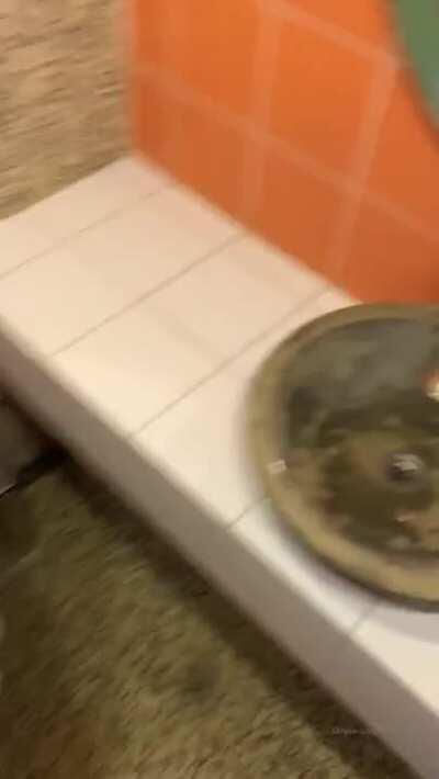 Ellie Leen Pounded In Public Bathroom 🍆🍑