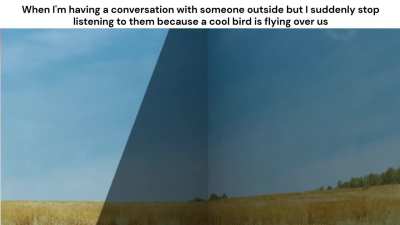 Bro, did you even hear me? What are you even looking at?