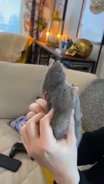 Just the right spot.