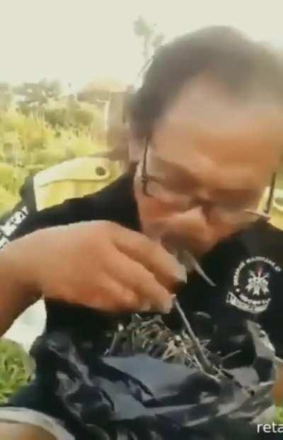 nhami nhami prego comer