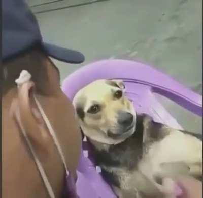 chat aconselhando o muca a voltar com a japonesa