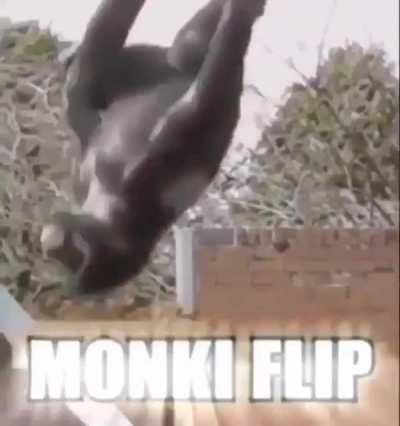 MONKI FLIP