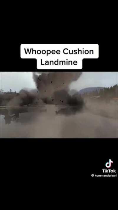 aardvark honda please