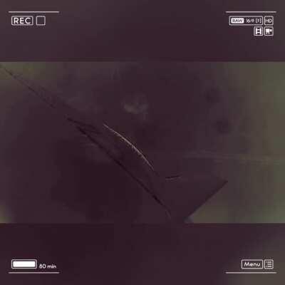 Drinks on me, Tontards