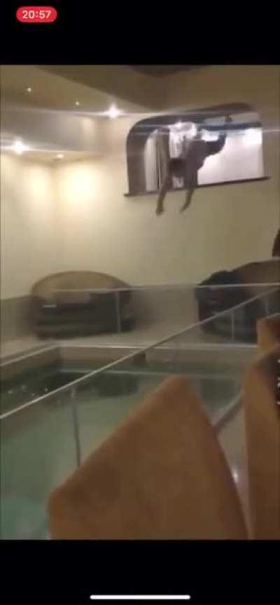 Gold medal dive at the dipshit olympics.