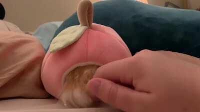 VICIOUS HAMSTER ATTACKS AFTER BEING PROVOKED