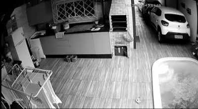 Just a little dive 🤿