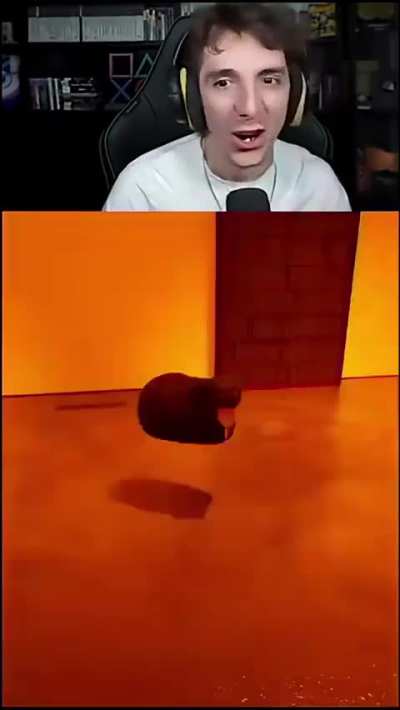 Gamer finds a mid game surprise left by the developers