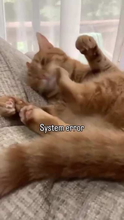 Orange broh got lagged