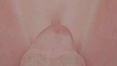 Aunt cass jucy pussy licking (anianiboy) [big hero]