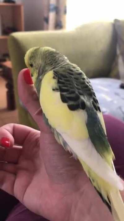 Painted my nails and Cosmo is a fan