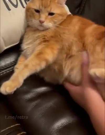 🙀SHOCKING!!⚡️ INNOCENT😇 💦CUUMI🐈 DRAGGED🤏 TO 🔥HELL😈 BY 🍆DICKCRANK🤖!!!