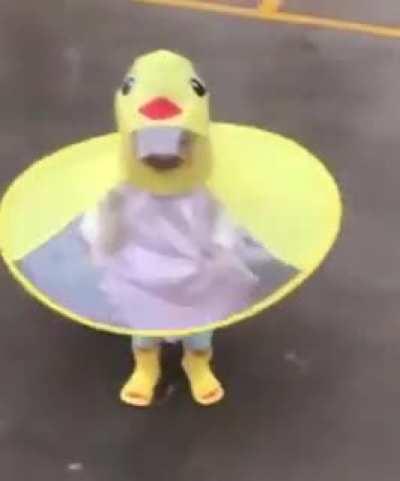 I needed to find the sound and it didn't disappoint